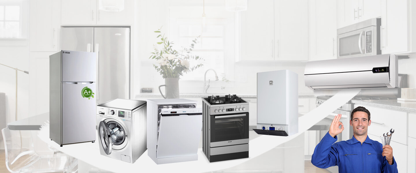Şaphane Electrolux Servisi